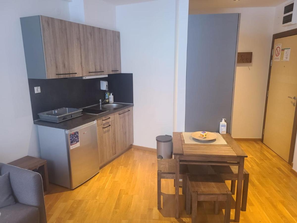 Beli Vuk - Brzece, Kopaonik Apartment ภายนอก รูปภาพ